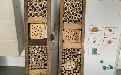 Fabrication de refuges à insectes