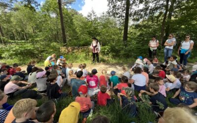 Sortie en forêt de Brocéliande