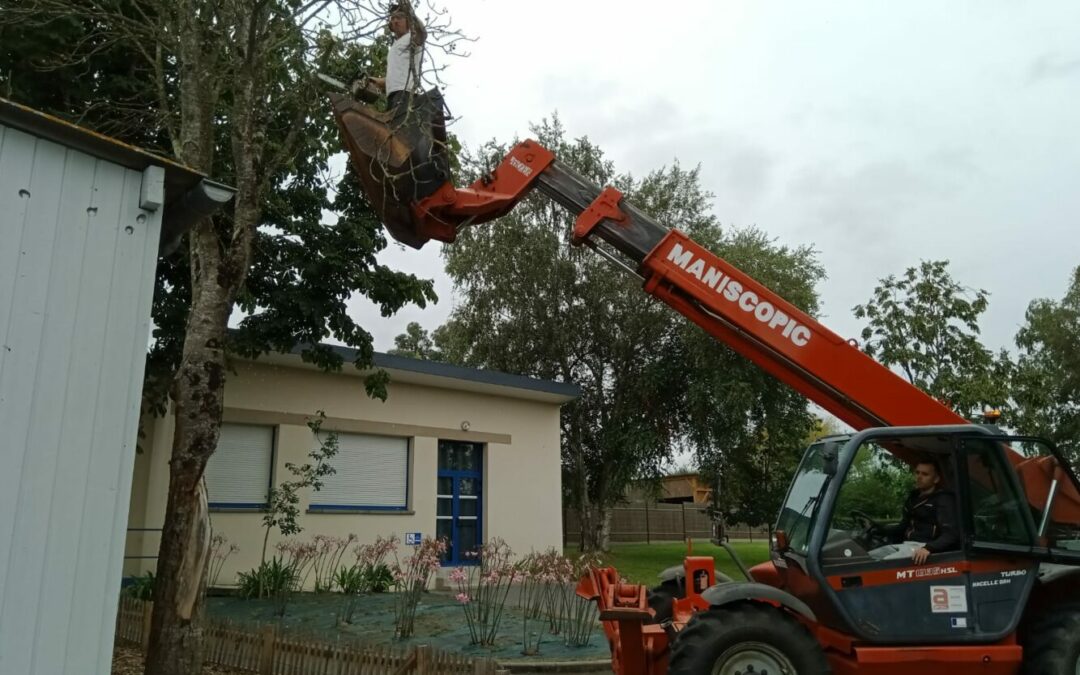 Matinée jardinage avant la rentrée