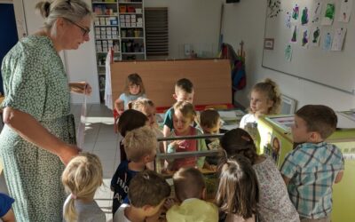 Un drôle d’insecte dans la classe