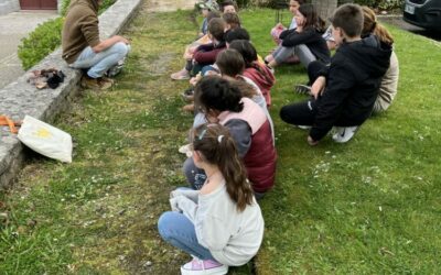 Sensibilisation sur les chauves-souris – CM
