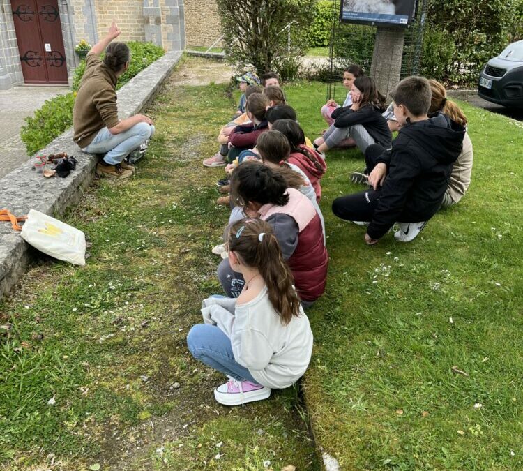 Sensibilisation sur les chauves-souris – CM