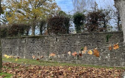 Matinée école dehors avec Anne-Charlotte