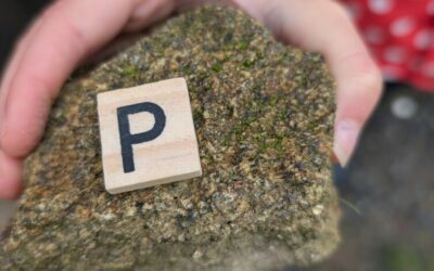 1ère séance “Osez l’école dehors” des GS-CP